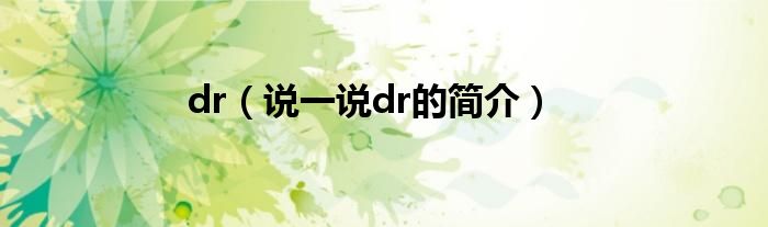 dr（說(shuō)一說(shuō)dr的簡(jiǎn)介）