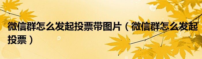 微信群怎么發(fā)起投票帶圖片（微信群怎么發(fā)起投票）