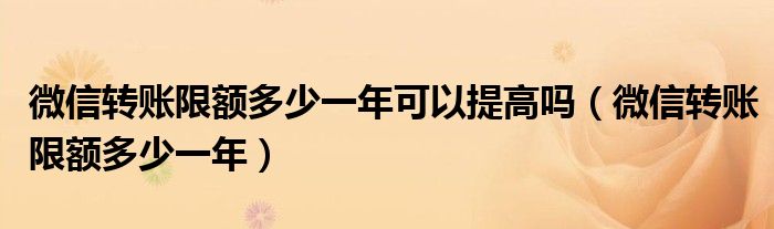 微信轉(zhuǎn)賬限額多少一年可以提高嗎（微信轉(zhuǎn)賬限額多少一年）