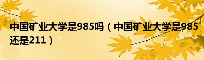 中國(guó)礦業(yè)大學(xué)是985嗎（中國(guó)礦業(yè)大學(xué)是985還是211）