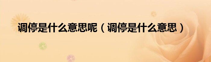 調(diào)停是什么意思呢（調(diào)停是什么意思）