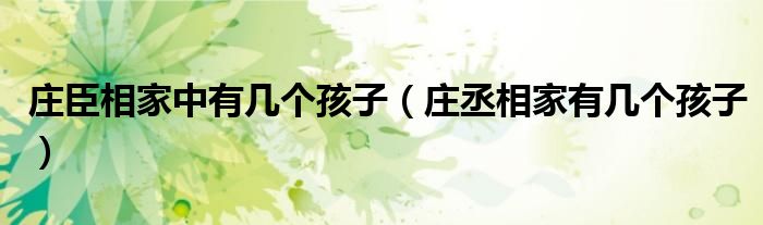 莊臣相家中有幾個孩子（莊丞相家有幾個孩子）