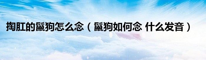掏肛的鬣狗怎么念（鬣狗如何念 什么發(fā)音）