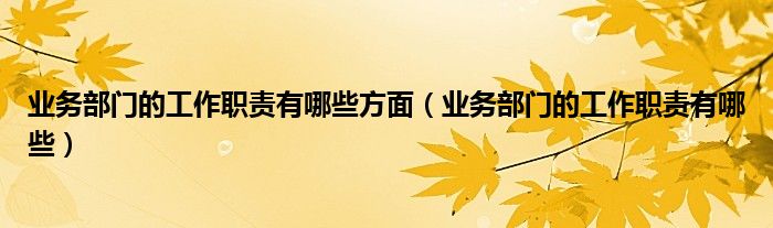 業(yè)務(wù)部門的工作職責(zé)有哪些方面（業(yè)務(wù)部門的工作職責(zé)有哪些）