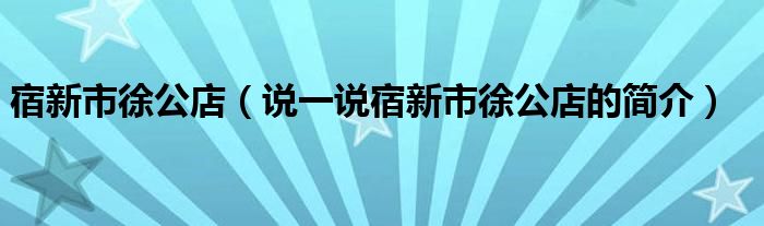 宿新市徐公店（說一說宿新市徐公店的簡介）