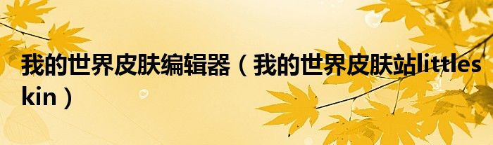 我的世界皮膚編輯器（我的世界皮膚站littleskin）