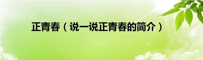 正青春（說一說正青春的簡(jiǎn)介）