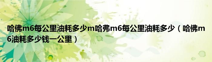 哈佛m6每公里油耗多少m哈弗m6每公里油耗多少（哈佛m6油耗多少錢一公里）