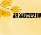 超濾膜原理演示動(dòng)畫(huà)（超濾膜原理）