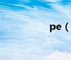 pe（說一說pe的簡介）