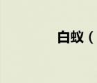 白蟻（說一說白蟻的簡介）