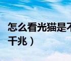 怎么看光貓是不是千兆的（怎么看光貓是不是千兆）