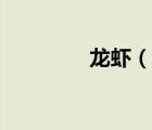 龍蝦（說一說龍蝦的簡介）