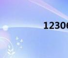 12306新規(guī)定（123 06）