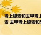 腎上腺素和去甲腎上腺素和異丙腎上腺素的異同點(diǎn)（腎上腺素 去甲腎上腺素和異丙腎上腺素的異同點(diǎn)）