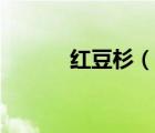 紅豆杉（說一說紅豆杉的簡(jiǎn)介）