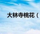 大林寺桃花（說(shuō)一說(shuō)大林寺桃花的簡(jiǎn)介）