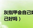 灰指甲會自己好嗎長出新的指甲（灰指甲會自己好嗎）