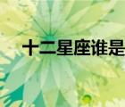 十二星座誰(shuí)是天生學(xué)霸（誰(shuí)是孩子他爸）