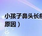 小孩子鼻頭長(zhǎng)痘是什么原因（鼻頭長(zhǎng)痘是什么原因）