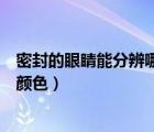 密封的眼睛能分辨哪些顏色和形狀（密封的眼睛能分辨哪些顏色）