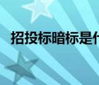 招投標暗標是什么意思（暗標是什么意思）