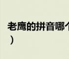 老鷹的拼音哪個是整體認(rèn)讀音節(jié)（老鷹的拼音）