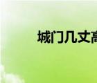 城門幾丈高紀(jì)錄片（城門幾丈高）