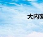 大內(nèi)密探靈靈狗國語免費