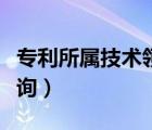 專利所屬技術(shù)領(lǐng)域分類（專利技術(shù)領(lǐng)域分類查詢）