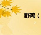 野雞（說一說野雞的簡(jiǎn)介）