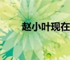 趙小葉現(xiàn)在老公（趙小葉前夫是誰(shuí)）