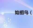 始祖鳥（說一說始祖鳥的簡介）