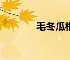 毛冬瓜根圖片功效（毛冬瓜）