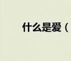 什么是愛(ài)（說(shuō)一說(shuō)什么是愛(ài)的簡(jiǎn)介）