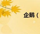 企鵝（說(shuō)一說(shuō)企鵝的簡(jiǎn)介）