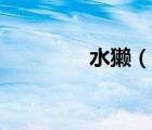 水獺（說(shuō)一說(shuō)水獺的簡(jiǎn)介）