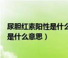 尿膽紅素陽(yáng)性是什么意思嚴(yán)重嗎掛什么科（尿膽紅素是陽(yáng)性是什么意思）
