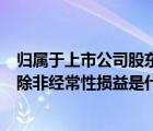 歸屬于上市公司股東的扣除非經(jīng)常性損益的凈利潤(rùn)在哪（扣除非經(jīng)常性損益是什么意思）