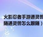 火影忍者手游通靈獸強(qiáng)度排名（火影忍者OL怎么讓通靈獸跟隨通靈獸怎么跟隨）