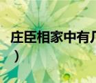 莊臣相家中有幾個(gè)孩子（莊丞相家有幾個(gè)孩子）