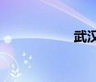 武漢大學醫(yī)學部官網(wǎng)