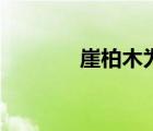 崖柏木為啥不吉利（崖柏木）