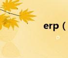 erp（說一說erp的簡介）