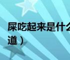 屎吃起來是什么味道的（屎可以吃嗎是什么味道）