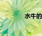 水牛的交配（馬連續(xù)交配）