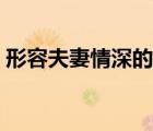 形容夫妻情深的詩句（形容夫妻情深的成語）