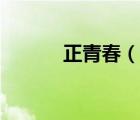 正青春（說一說正青春的簡介）