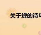 關(guān)于蟬的詩句和成語（關(guān)于蟬的詩句）
