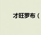 才旺羅布（說一說才旺羅布的簡介）